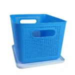 Blue Plastic Storage Container with Lid