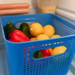 Blue Plastic Storage Container with Lid