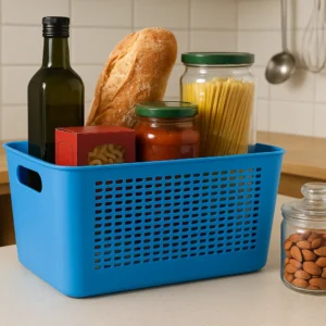 Blue Plastic Storage Container with Lid