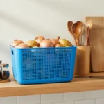 Blue Plastic Storage Container with Lid