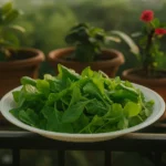 Round Chabhi Basket