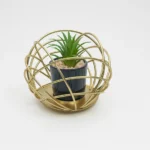 Orb Planter with Plant