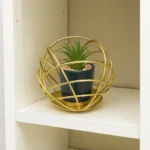 Orb Planter with Plant