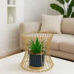 Hourglass Planter with Plant