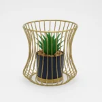 Hourglass Planter with Plant