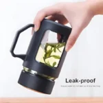 Double Wall Glass Tea Mug 500ML Insulated Cup