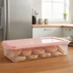 Limon 1.0 Liter Freezer Airtight Plastic Box With Lid Set of 2