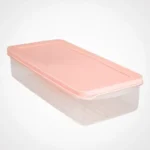 Limon 1.0 Liter Freezer Airtight Plastic Box With Lid Set of 2
