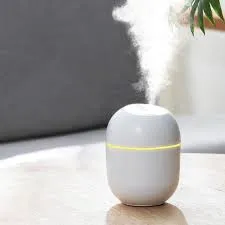 PORTABLE HUMIDIFIER (IMPORTED)