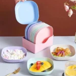 Buy 5 Get 5 Free Sale Offer – Imported 10 Pcs Set of Dish Plates with Free Holder in Rs 999 Only – Trendy and Stylish