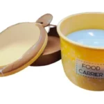 Double Layer Tiffin Lunch Box with Steel Container