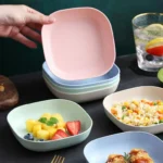 Buy 5 Get 5 Free Sale Offer – Imported 10 Pcs Set of Dish Plates with Free Holder in Rs 999 Only – Trendy and Stylish
