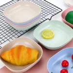 Buy 5 Get 5 Free Sale Offer – Imported 10 Pcs Set of Dish Plates with Free Holder in Rs 999 Only – Trendy and Stylish