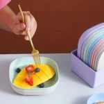 Buy 5 Get 5 Free Sale Offer – Imported 10 Pcs Set of Dish Plates with Free Holder in Rs 999 Only – Trendy and Stylish