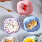 Buy 5 Get 5 Free Sale Offer – Imported 10 Pcs Set of Dish Plates with Free Holder in Rs 999 Only – Trendy and Stylish